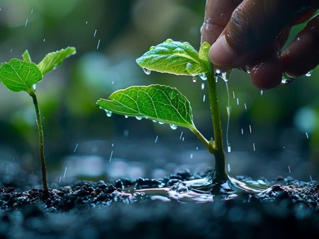 Farayi Chipungu Two Big Ideas For Successfully Leading Change Unsw